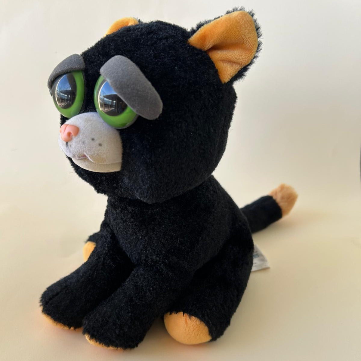 Feisty Pet - Black Cat