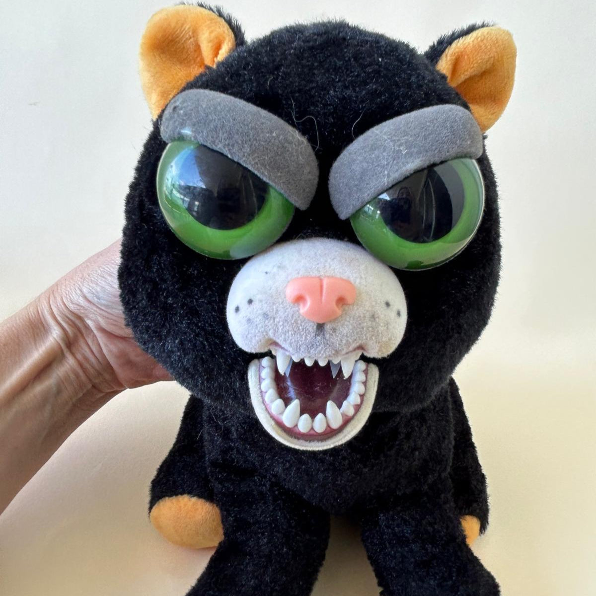 Feisty Pet - Black Cat
