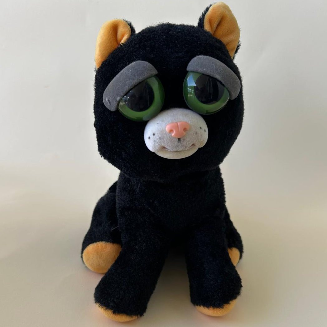 Feisty Pet - Black Cat